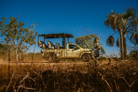 Parque Nacional Grande Sertão Veredas - Experiência Trijunção 