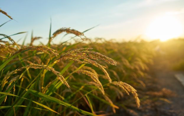 Agrofy e Clube Agro fortalecem parceria em evento da Andav