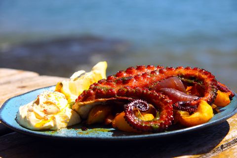 Festival acontecerá entre abril e maio de 2024 e reunirá o melhor da gastronomia caiçara